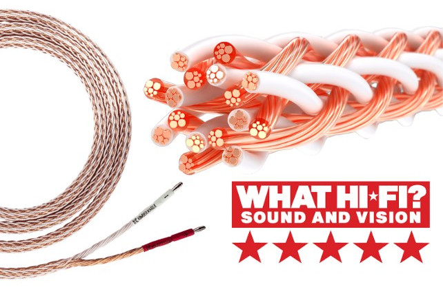 What Hi-Fi? review KIMBER KABLE® 4TC Speaker Cable